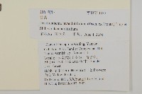 姜菱菊藏品圖，第2張