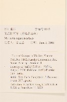 圓舌粘冠草藏品圖，第2張