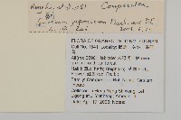 小薊藏品圖，第2張