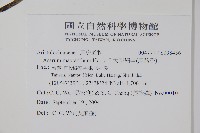 大花細辛、馬蹄香藏品圖，第2張