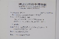 曲莖馬藍藏品圖，第2張