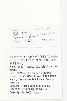 短圓葉棶木藏品圖，第2張