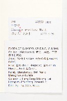 小葉胡頹子藏品圖，第2張