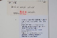 西山小檗藏品圖，第2張