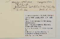 台灣鬼督郵藏品圖，第2張