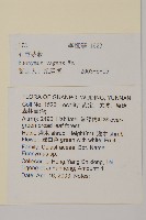 石寶茶藤藏品圖，第2張