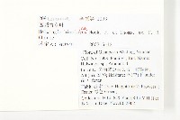 西藏青莢葉藏品圖，第2張