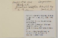 台灣鬼督郵藏品圖，第2張