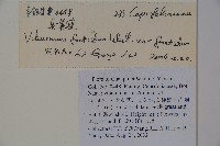 臭莢迷藏品圖，第2張