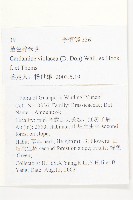 蓳色碎米薺藏品圖，第2張