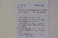 水紅木藏品圖，第2張