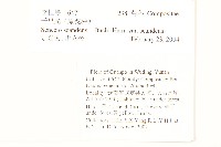 蔓黃菀藏品圖，第2張