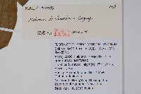 長柱十大功勞藏品圖，第2張