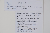 大花漆藏品圖，第2張