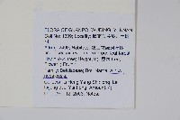 尼泊爾赤楊藏品圖，第2張