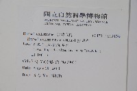 鐘萼木藏品圖，第2張