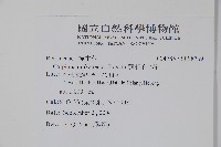 蘭邯千金榆藏品圖，第2張