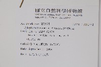 台灣鷗蔓藏品圖，第2張