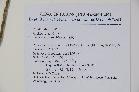 糊樗藏品圖，第2張