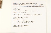 臺灣山菊藏品圖，第2張