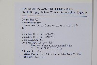 日本牛膝藏品圖，第2張