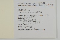 三脈種阜草藏品圖，第2張