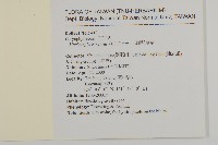 三脈種阜草藏品圖，第5張