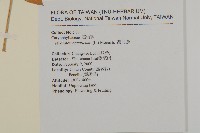 牛繁縷藏品圖，第2張