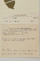 登錄號:S098884藏品圖，第2張