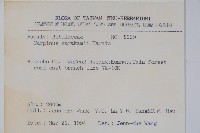 阿里山千金榆藏品圖，第2張