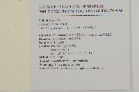 三脈種阜草藏品圖，第2張