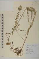 登錄號:S098894藏品圖，第1張