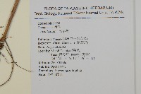 登錄號:S098894藏品圖，第2張