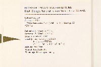 田代氏澤蘭藏品圖，第2張