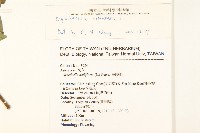 豨薟藏品圖，第2張