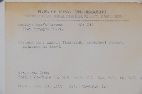 全緣葉冬青藏品圖，第2張