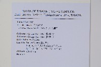 大花細辛、馬蹄香藏品圖，第2張