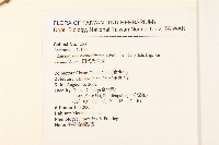 田代氏澤蘭藏品圖，第2張