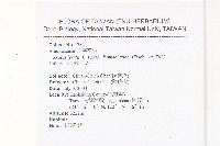 玉山筷子芥藏品圖，第2張