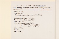 玉山薄雪草藏品圖，第2張