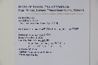 倒卵葉冬青、金平氏冬青藏品圖，第2張