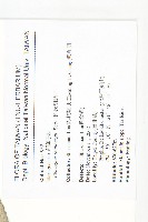 鄧氏胡頹子藏品圖，第2張