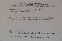 呂宋莢迷藏品圖，第2張