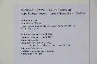 太平山冬青藏品圖，第2張