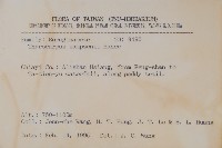 盾果草藏品圖，第2張