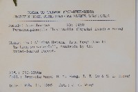 曲莖馬藍藏品圖，第2張