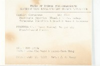 臺灣青莢葉藏品圖，第2張