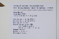 絨毛芙蓉蘭藏品圖，第2張