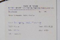 臺灣赤楊、臺灣榿木藏品圖，第2張