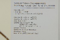 草珊瑚、紅果金粟蘭藏品圖，第2張